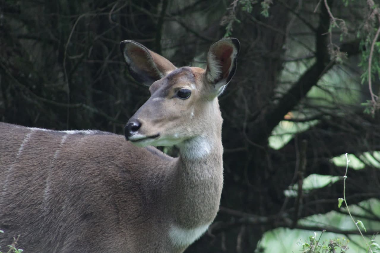 Detail Tour Hero image 4