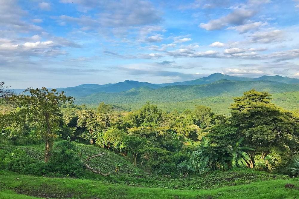 Travel Tips and Sustainability Hero Image 2