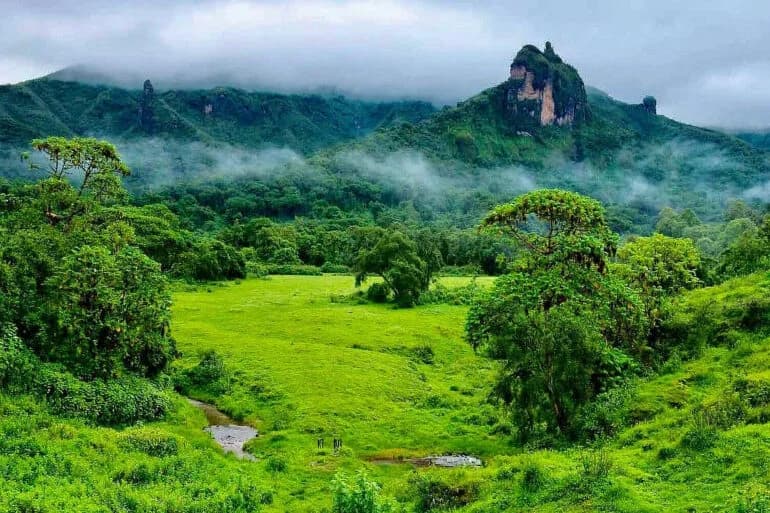 Bale Zone Coffee Trail: Ethiopia’s Coffee Heartland