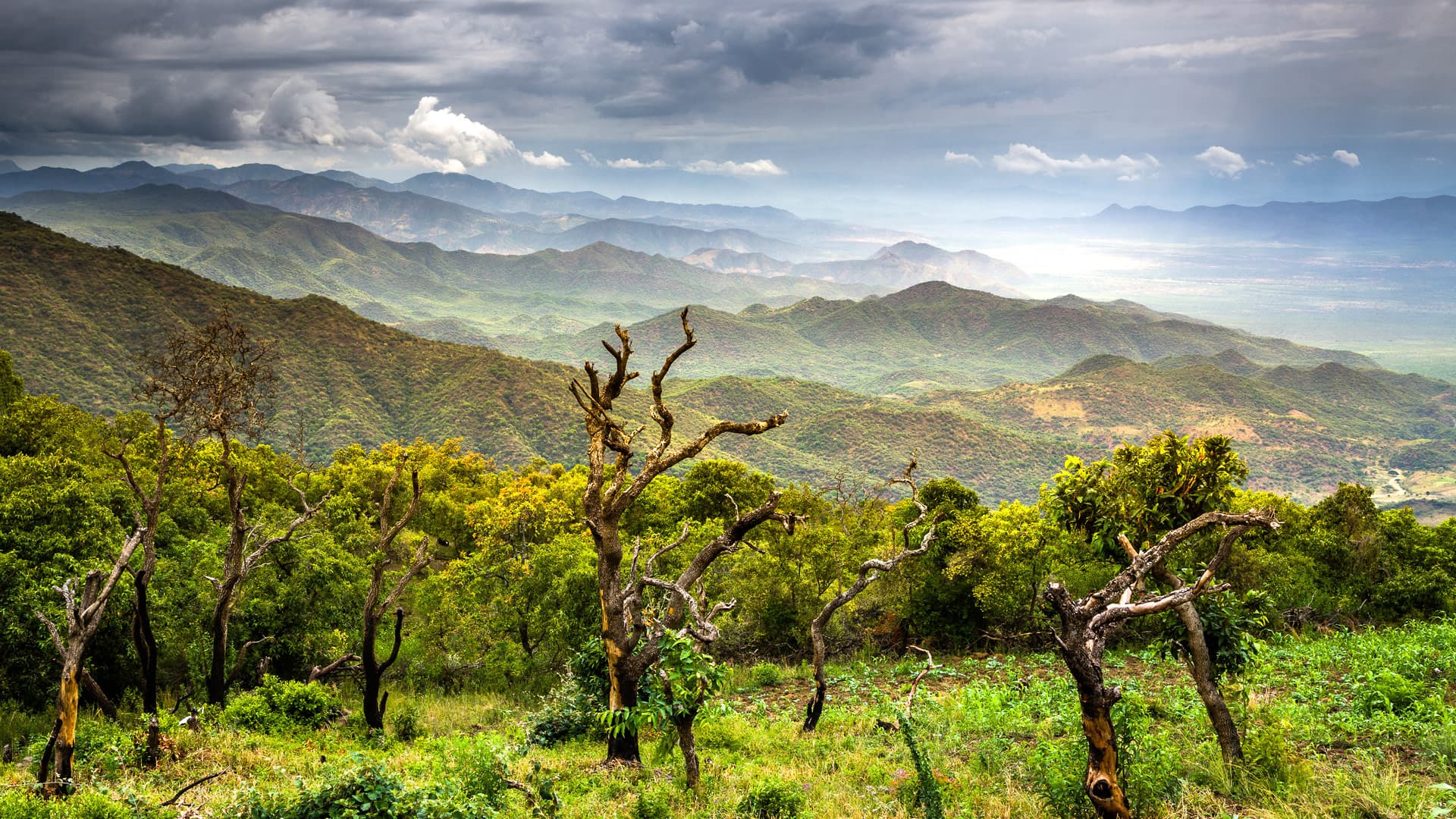 Chebera Churchura National Park: Ethiopia’s Hidden Wilderness